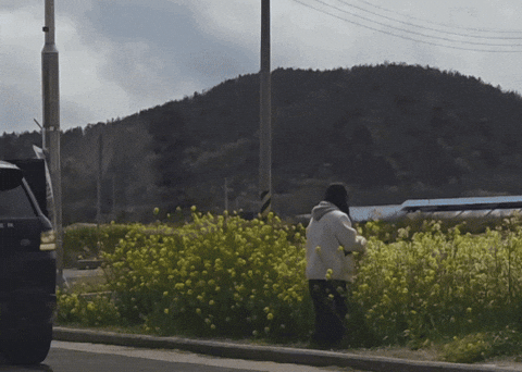 qwerpoiu22ppop giphyupload GIF