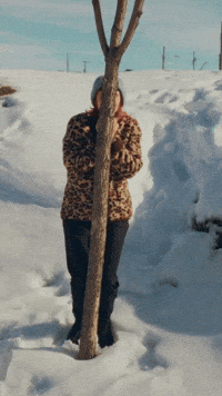 Cant See Me Peek A Boo GIF by Mother Mother