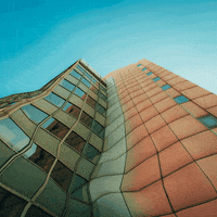 Art Animation GIF by makio135