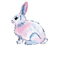 Bouncing Winter Wonderland Sticker by LOLA + BLAKE