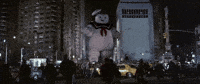 GIF by Ghostbusters
