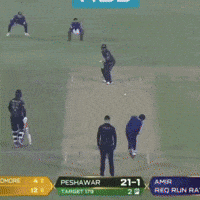 Babar Amir GIF