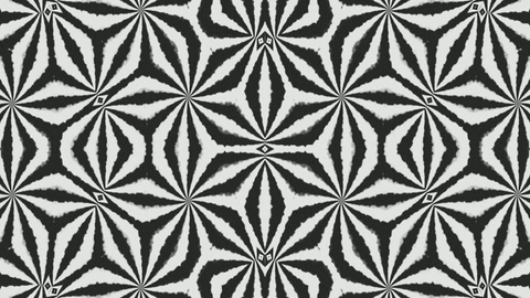 anniemuse giphyupload black and white abstract mask GIF