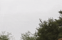 Run The World GIF by Dayglow