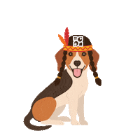 Dog Sticker by Petland Florida
