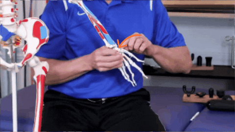 giphygifmaker giphyattribution GIF