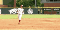 North Carolina Baseball GIF by NCAA Championships