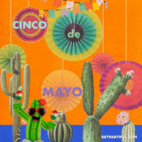 Cinco De Mayo GIF by Partiful