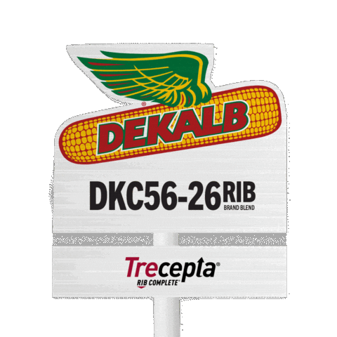 Dk Sticker by DEKALB Asgrow Deltapine