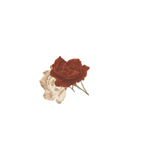 nervous youth Sticker by Shawn Mendes