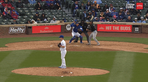 bclemens6 giphyupload GIF