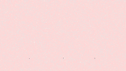 boshyboi  GIF