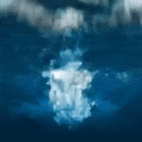 Under The Sea Diving GIF by VeeFriends
