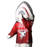 Hockey Clap Sticker by Koelner Haie