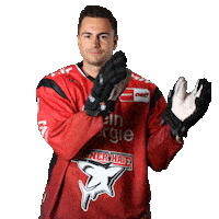 Hockey Clap Sticker by Koelner Haie