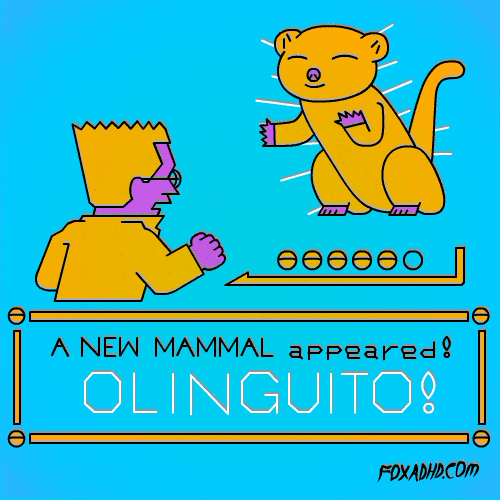 animation domination fox GIF by gifnews