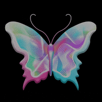 iamfryda psychedelic high butterfly holografic GIF