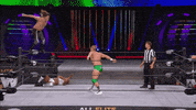 Aew GIF by ALL ELITE WRESTLING