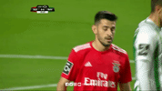 sl benfica GIF by Sport Lisboa e Benfica