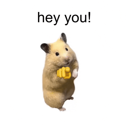 Water Hamster GIF