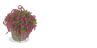 melleoffiacial autumn plant herbst heather Sticker