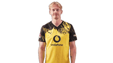 Borussia Dortmund Love Sticker by Bundesliga