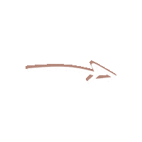 Arrow Seta Sticker