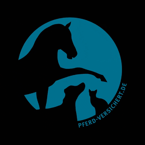 Hund GIF by Pferdversichert