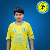 Handball Hazena GIF by Házená Louny