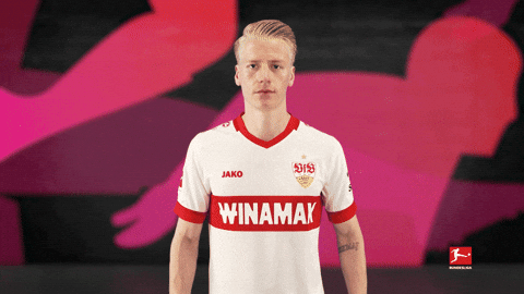 Vfb Stuttgart Cheering GIF by Bundesliga