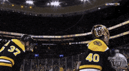 ice hockey hug GIF by NHL