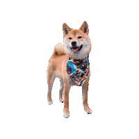 Star Wars Sticker by Geekster Pets