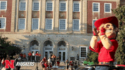 Nebraska Football Deal With It GIF by Huskers