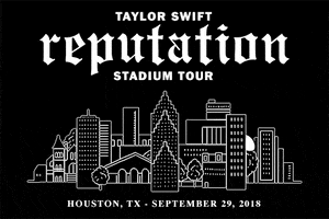Reputation Stadium Tour GIF by Taylor Swift