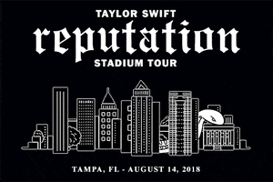 Tampa Bay GIF by Taylor Swift