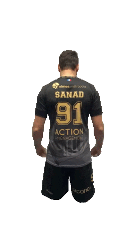 Europe Handball Sticker by USAM NIMES GARD