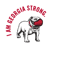 Uga Stay Strong Sticker by University of Georgia