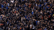 rangersfc GIF by Rangers Football Club