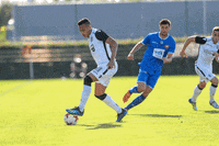 football goal GIF by PAOK FC