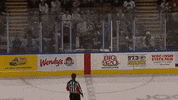 GIF by Milwaukee Admirals
