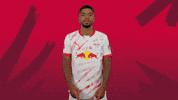 Benjamin Henrichs Smile GIF by RB Leipzig