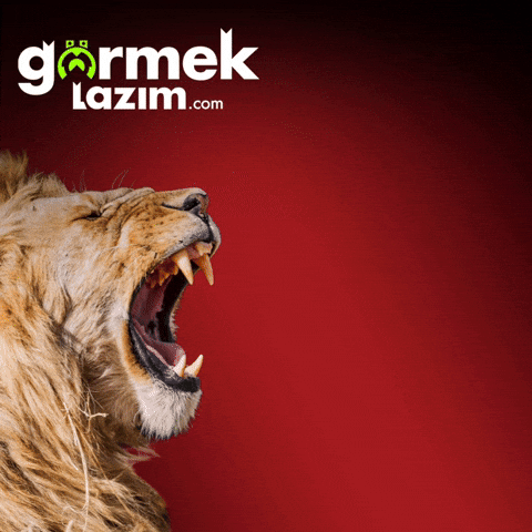 Galatasaray Gala GIF by Görmek Lazım