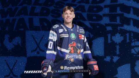 Celebration Hockey GIF by Iserlohn Roosters
