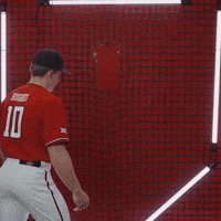 Logan Hughes GIF by Texas Tech Baseball