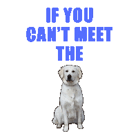 Swipe Up French Bulldog Sticker by Stop Online Puppy Mills