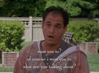season 4 netflix GIF by Gilmore Girls 