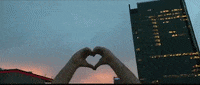 North Carolina Video GIF by Sam Pomerantz
