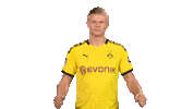 Happy Football Sticker by Bundesliga