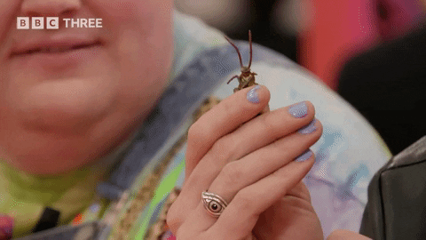 Linda Cockroach GIF by BBC Three