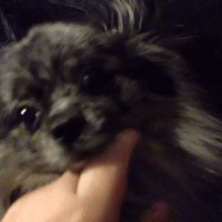 GIF by andymilonakis